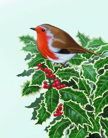 'Robin Redbreast' design