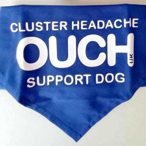 Dog Bandana - Blue