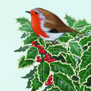 'Robin Redbreast' design